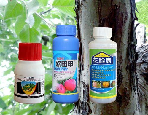 老树脱皮,果树枝干病害特效药