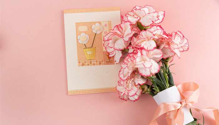 <a href='https://www.861230.com/guanhuazhiwu/49.html' target='_blank'><u>康乃馨</u></a>
