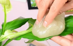 用啤酒擦叶子方法