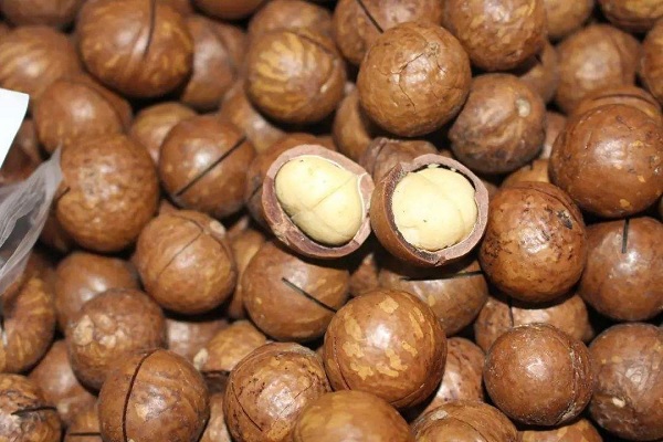 夏威夷果