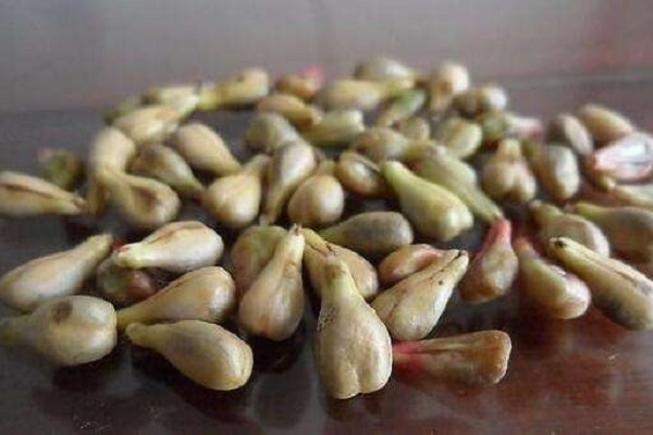 长期服用葡萄籽的危害 有哪些副作用