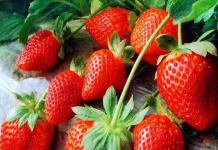 甜宝草莓好吃吗？吃甜宝草莓有什么好处？