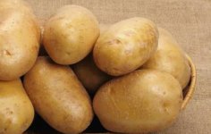 土豆叶斑病的症状及防治方法？