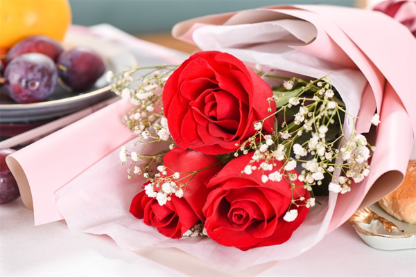 <a href='https://www.861230.com/guanhuazhiwu/6595.html' target='_blank'><u>玫瑰</u></a>