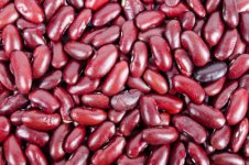 红豆种子怎么种 种植方法介绍