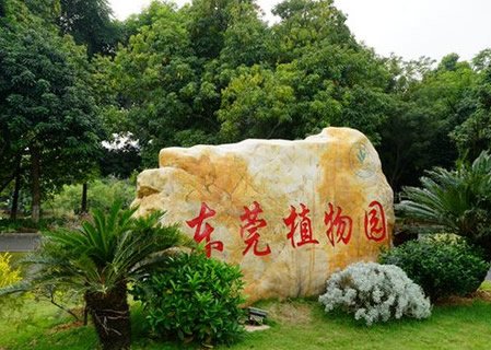 东莞植物园