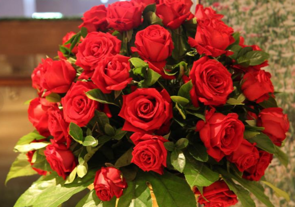 <a href='https://www.861230.com/guanhuazhiwu/6595.html' target='_blank'><u>玫瑰</u></a>花图片
