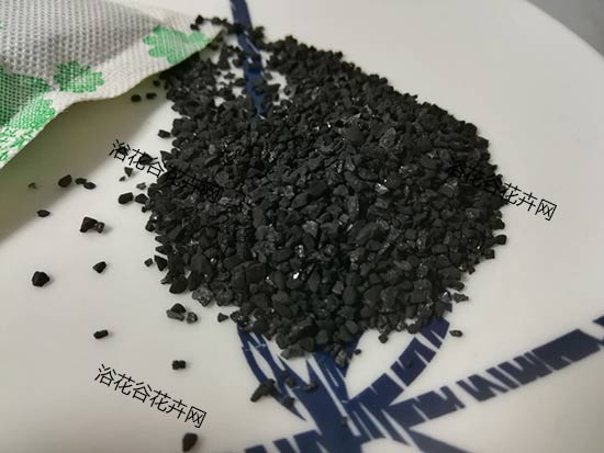 竹炭包能种花吗