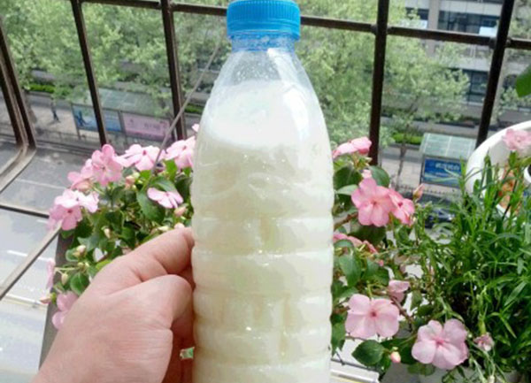 牛奶发酵