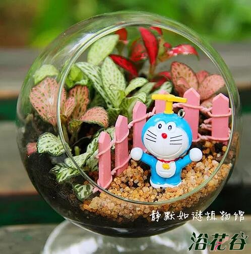 微景观生态瓶