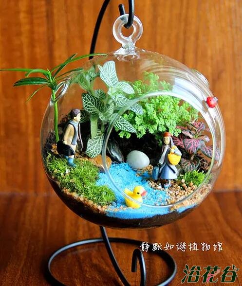 微景观生态瓶