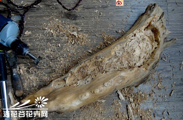 树根花盆