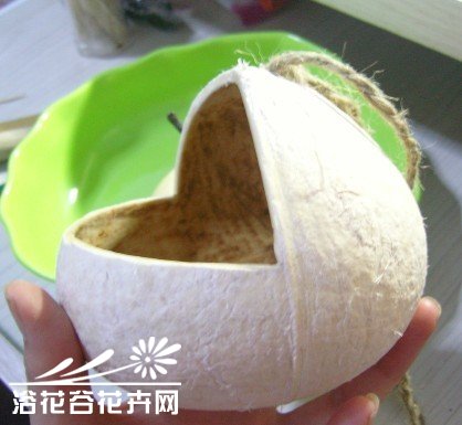 废物利用-椰子DIY吊盆