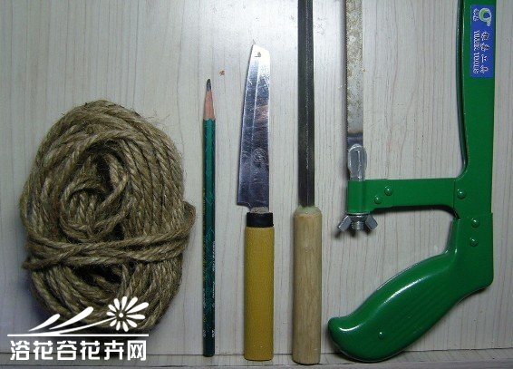 废物利用-椰子DIY吊盆
