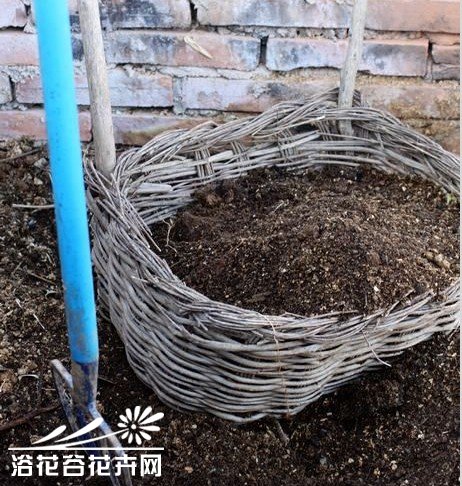 堆肥