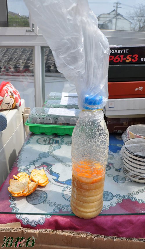 豆渣也可以做肥料 附不臭沤肥法