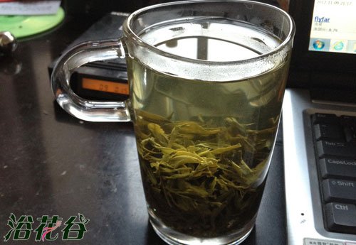 隔夜茶能浇花吗