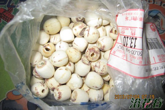 莲子能种出<a href='https://www.861230.com/guanhuazhiwu/1062.html' target='_blank'><u>荷花</u></a>吗