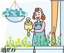 夏季花卉浇水和移栽的方法(花友经验)