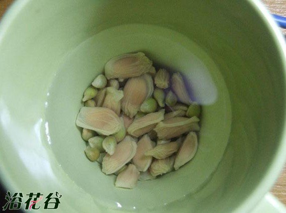 柚子种子盆栽