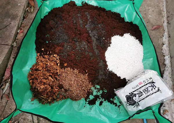 普通的土要消毒吗