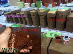 椰砖和营养土的区别