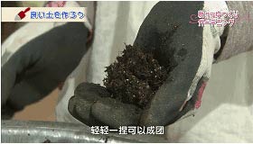 养花的旧土还能用吗