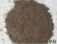底肥、基肥、液肥、叶面肥是什么(知识普及)