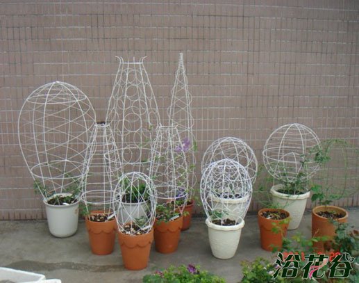 <a href='https://www.861230.com/guanhuazhiwu/6709.html' target='_blank'><u>铁线莲</u></a>的架子怎么做(多图)