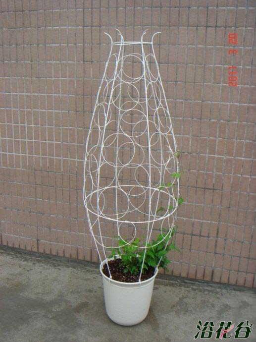 <a href='https://www.861230.com/guanhuazhiwu/6709.html' target='_blank'><u>铁线莲</u></a>的架子怎么做(多图)