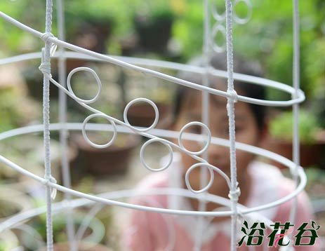 <a href='https://www.861230.com/guanhuazhiwu/6709.html' target='_blank'><u>铁线莲</u></a>的架子怎么做(多图)