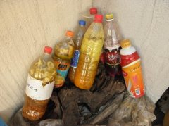 家庭沤肥(花友心得)