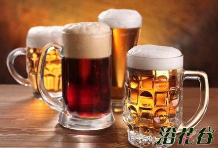 <a href='https://www.861230.com/guanhuazhiwu/6588.html' target='_blank'><u>君子兰</u></a>浇啤酒可促花