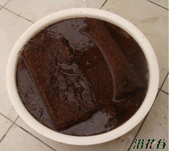 椰砖的使用方法
