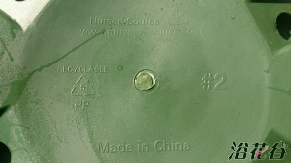 环球加仑盆真假辨别(图)