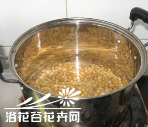 用黄豆制作花肥的简单方法