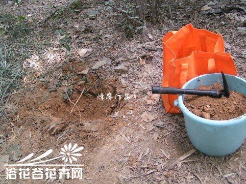 自制颗粒营养土过程