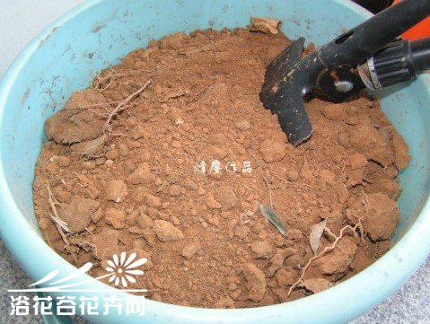 自制颗粒营养土过程