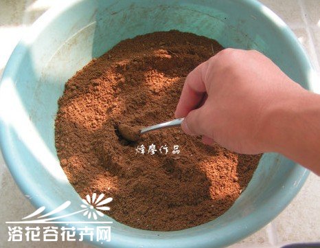 自制颗粒营养土过程