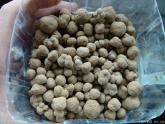 养花介质之赤玉土