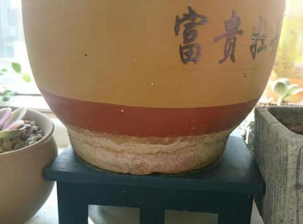花土上面发白了怎么办