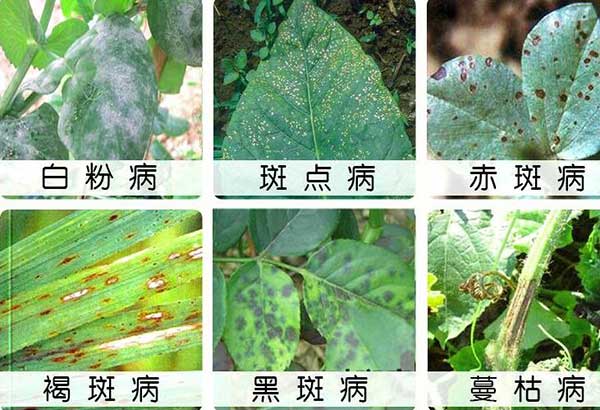 多菌灵是酸性的还是碱性