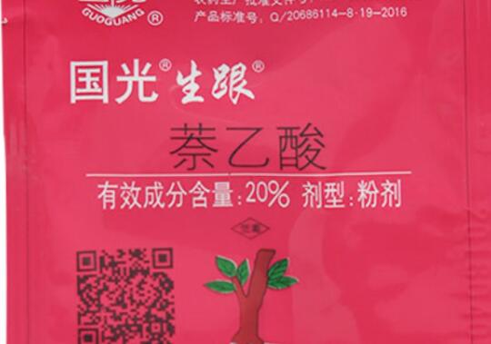 生根水可以天天浇吗,不建议