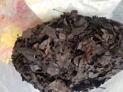 腐殖土和腐叶土的区别|理解起来不难