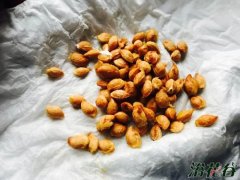 樱桃种子怎么发芽（催芽）