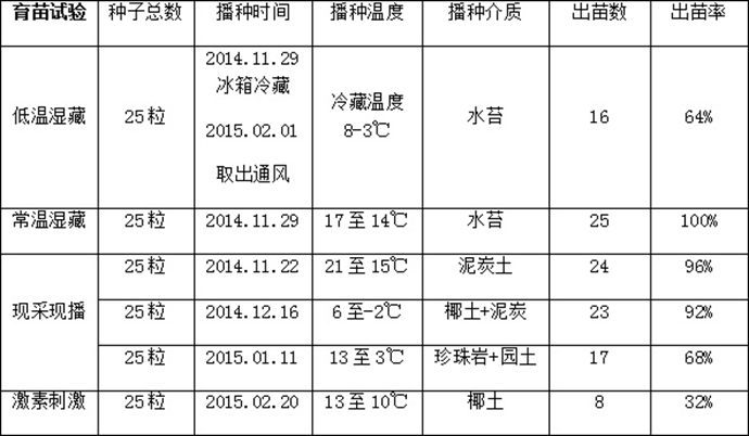 鸡爪槭
