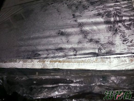 <a href='https://www.861230.com/guanhuazhiwu/31.html' target='_blank'><u>杜鹃花</u></a>扦插