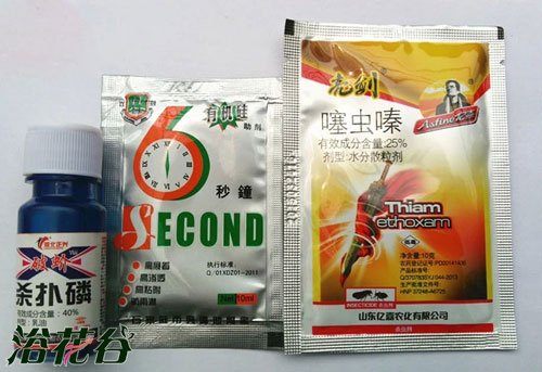 介壳虫用什么药最管用(看花友经验)