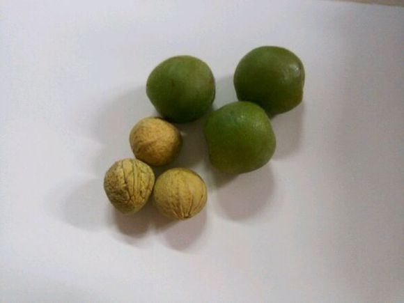 <a href='https://www.861230.com/guanhuazhiwu/6704.html' target='_blank'><u>榆叶梅</u></a>果实