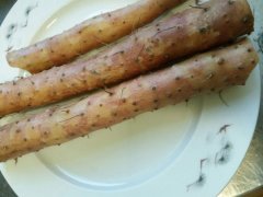 山药和牛蒡的区别（图片）
